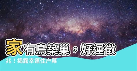 有鳥來家裡築巢|【家有鳥巢】家有鳥巢，居家風水亨通！揭開野鳥築巢。